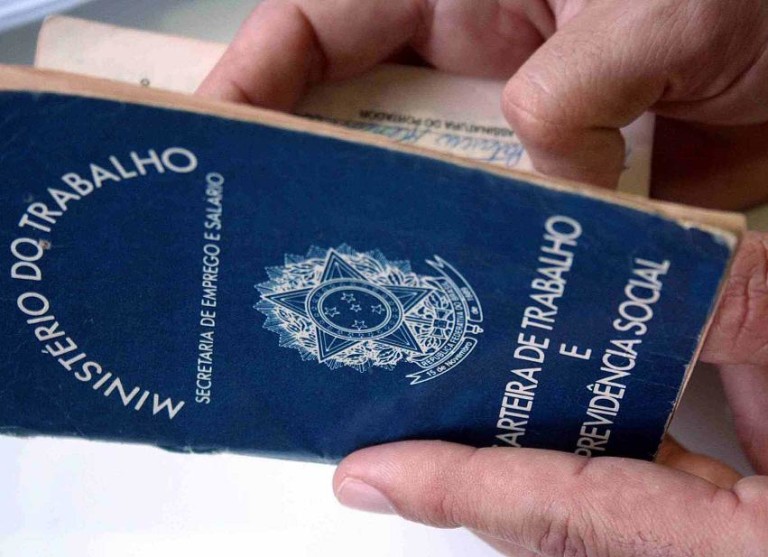 carteira_de_trabalho_301-6-768x557